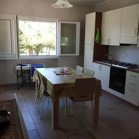 Selva Del Turchese *