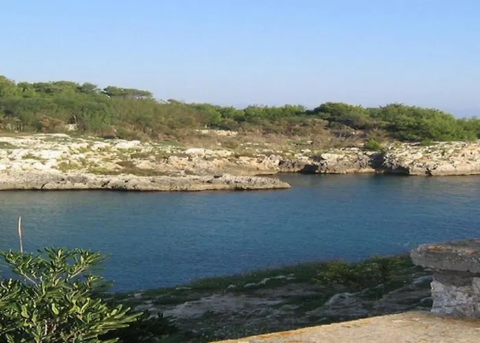 Apartament Selva Del Turchese *